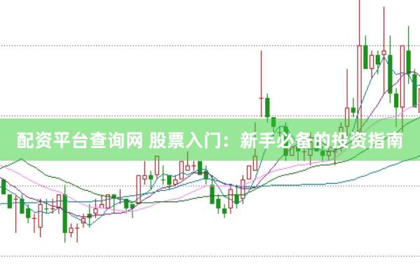 配资平台查询网 股票入门：新手必备的投资指南