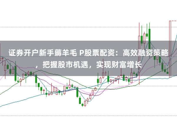 证券开户新手薅羊毛 P股票配资：高效融资策略，把握股市机遇，实现财富增长