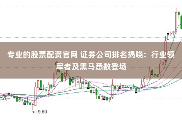 专业的股票配资官网 证券公司排名揭晓：行业领军者及黑马悉数登场