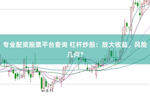 专业配资股票平台查询 杠杆炒股：放大收益，风险几何？