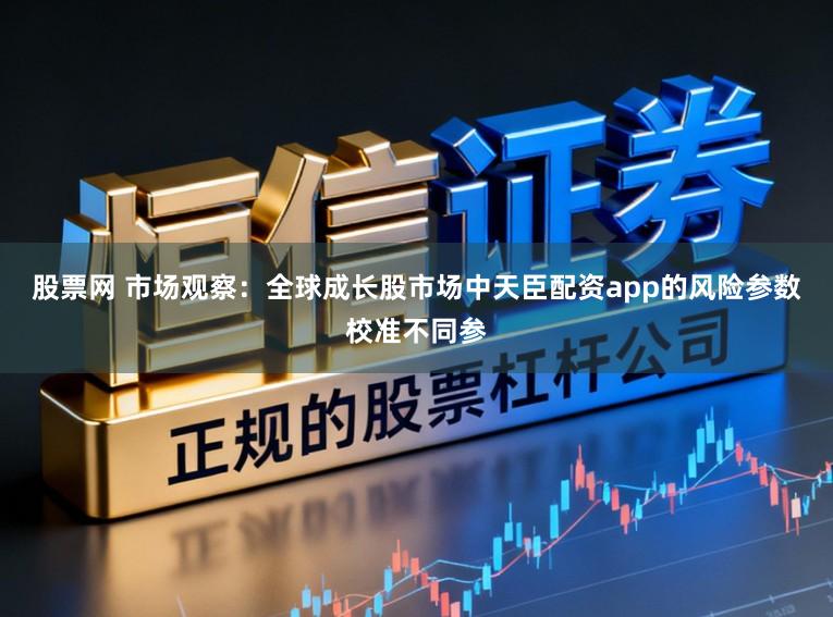 股票网 市场观察：全球成长股市场中天臣配资app的风险参数校准不同参