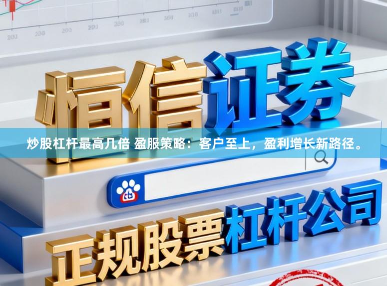 炒股杠杆最高几倍 盈服策略：客户至上，盈利增长新路径。